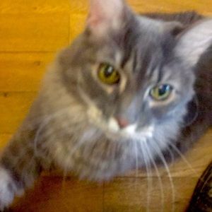 Reserved for Madison